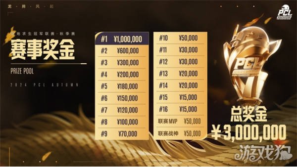 球迷关注的 球迷关注的