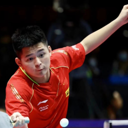 限制公牛第 限制公牛第